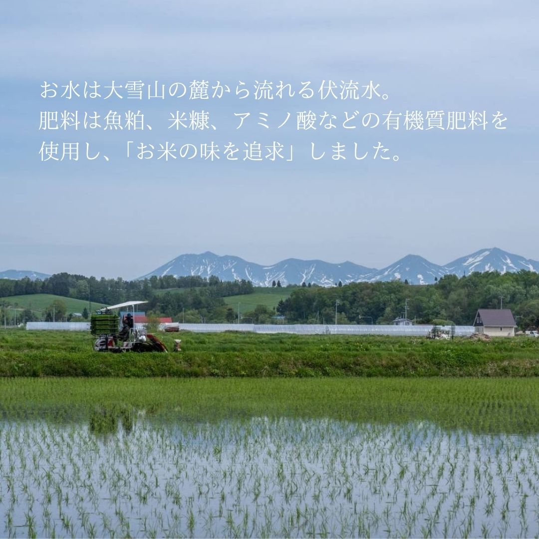 豊栄米 ゆめぴりか 3