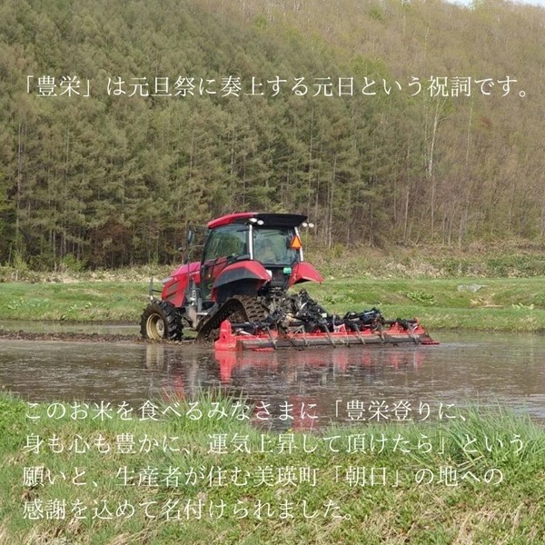 豊栄米 ゆめぴりか 4