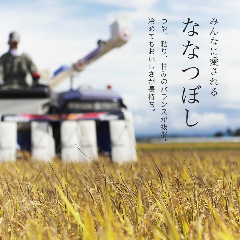 美瑛米 ななつぼし 2