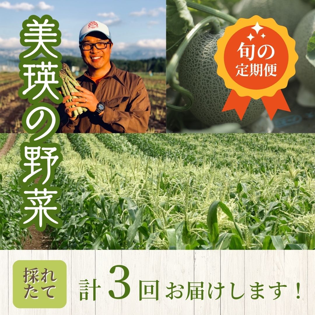 【先行予約】令和9年産【ふるさと納税】野菜 定期便 3回便 美瑛の四季～百合～ アスパラ メロン とうもろこし 3