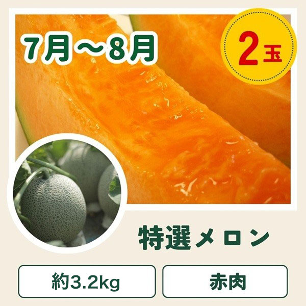 【先行予約】令和9年産【ふるさと納税】野菜 定期便 3回便 美瑛の四季～百合～ アスパラ メロン とうもろこし 7