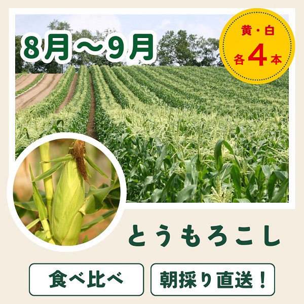 【先行予約】令和9年産【ふるさと納税】野菜 定期便 3回便 美瑛の四季～百合～ アスパラ メロン とうもろこし 8