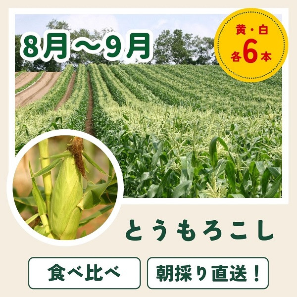 【先行予約】令和9年産【ふるさと納税】野菜 定期便 3回便 美瑛の四季～百合～ アスパラ メロン とうもろこし 9