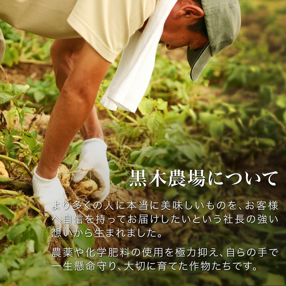 【ふるさと納税】さつまいも シルクスイート 4kg 【令和8年産】北海道 黒木農場 3