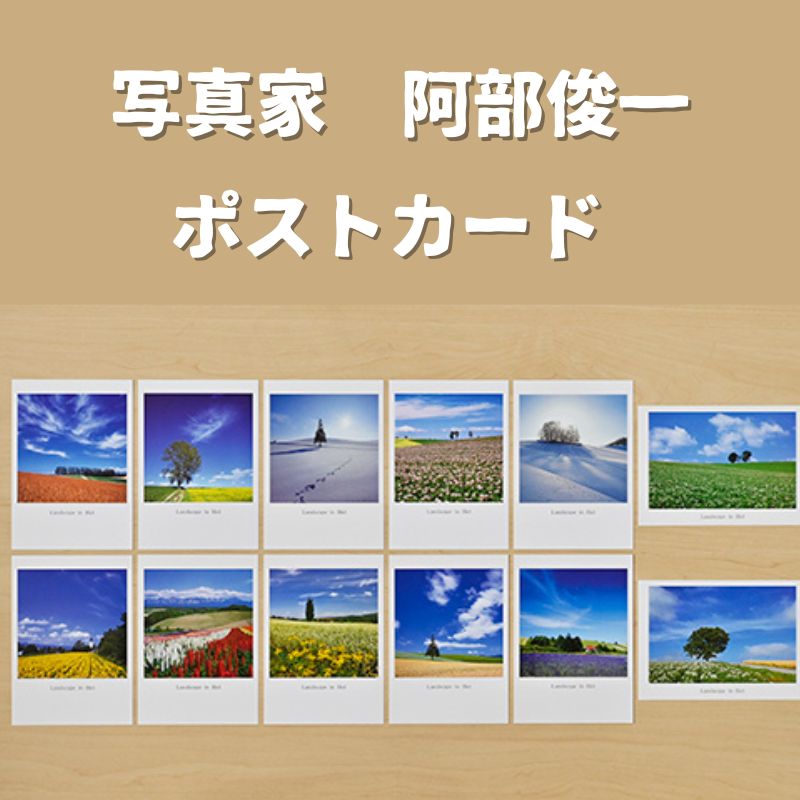 【ふるさと納税】ポストカード　北海道　北海道美瑛　北海道美瑛町　美瑛町　美瑛　写真家　阿部俊一　[006-23]