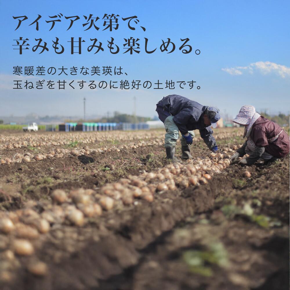 【ふるさと納税】≪令和8年産予約受付≫美瑛町産 玉ねぎ たまねぎ 5kg 10kg 訳あり お取り寄せ 美瑛選果 北海道 北海道美瑛 北海道美瑛町 美瑛町 野菜 ふるさと納税玉ねぎ ふるさと納税たまねぎ タマネギ 玉葱 玉ネギ わけあり ワケアリ 美瑛産 美瑛町産 北海道産 2