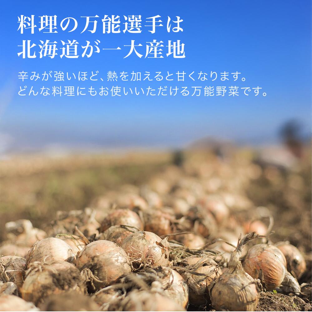 【ふるさと納税】≪令和8年産予約受付≫美瑛町産 玉ねぎ たまねぎ 5kg 10kg 訳あり お取り寄せ 美瑛選果 北海道 北海道美瑛 北海道美瑛町 美瑛町 野菜 ふるさと納税玉ねぎ ふるさと納税たまねぎ タマネギ 玉葱 玉ネギ わけあり ワケアリ 美瑛産 美瑛町産 北海道産 3