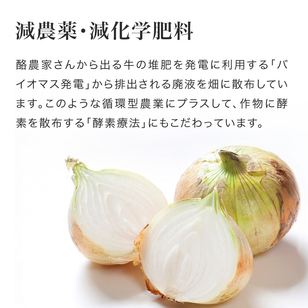 【ふるさと納税】【令和8年産予約受付！】本山農場の玉ねぎ5kg 10kg 2