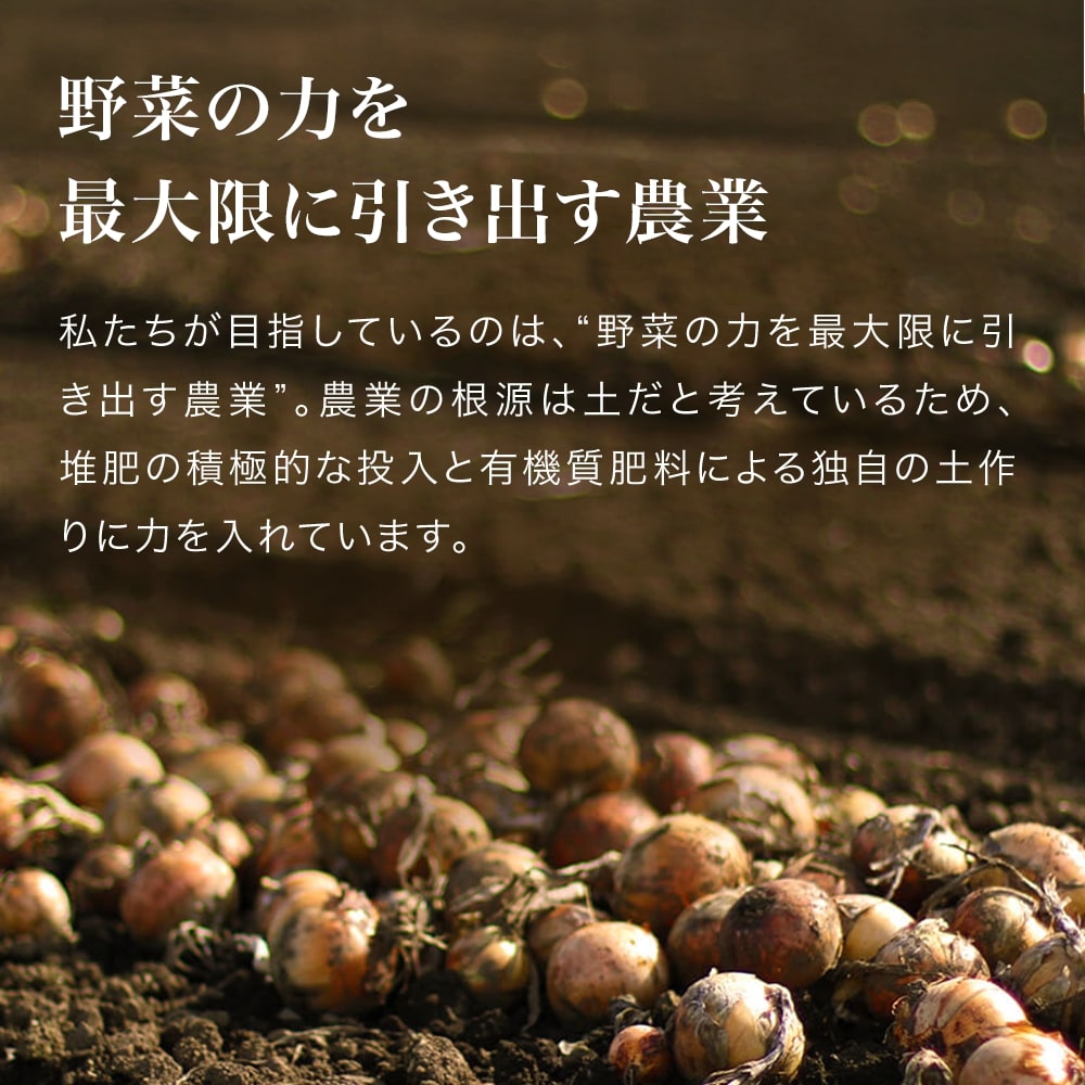 【ふるさと納税】【令和8年産予約受付！】本山農場の玉ねぎ5kg 10kg 3