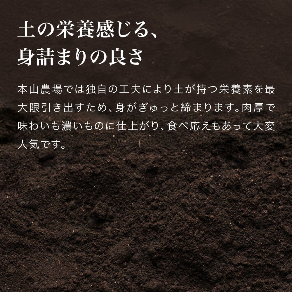 【ふるさと納税】【令和8年産予約受付！】本山農場の玉ねぎ5kg 10kg 4