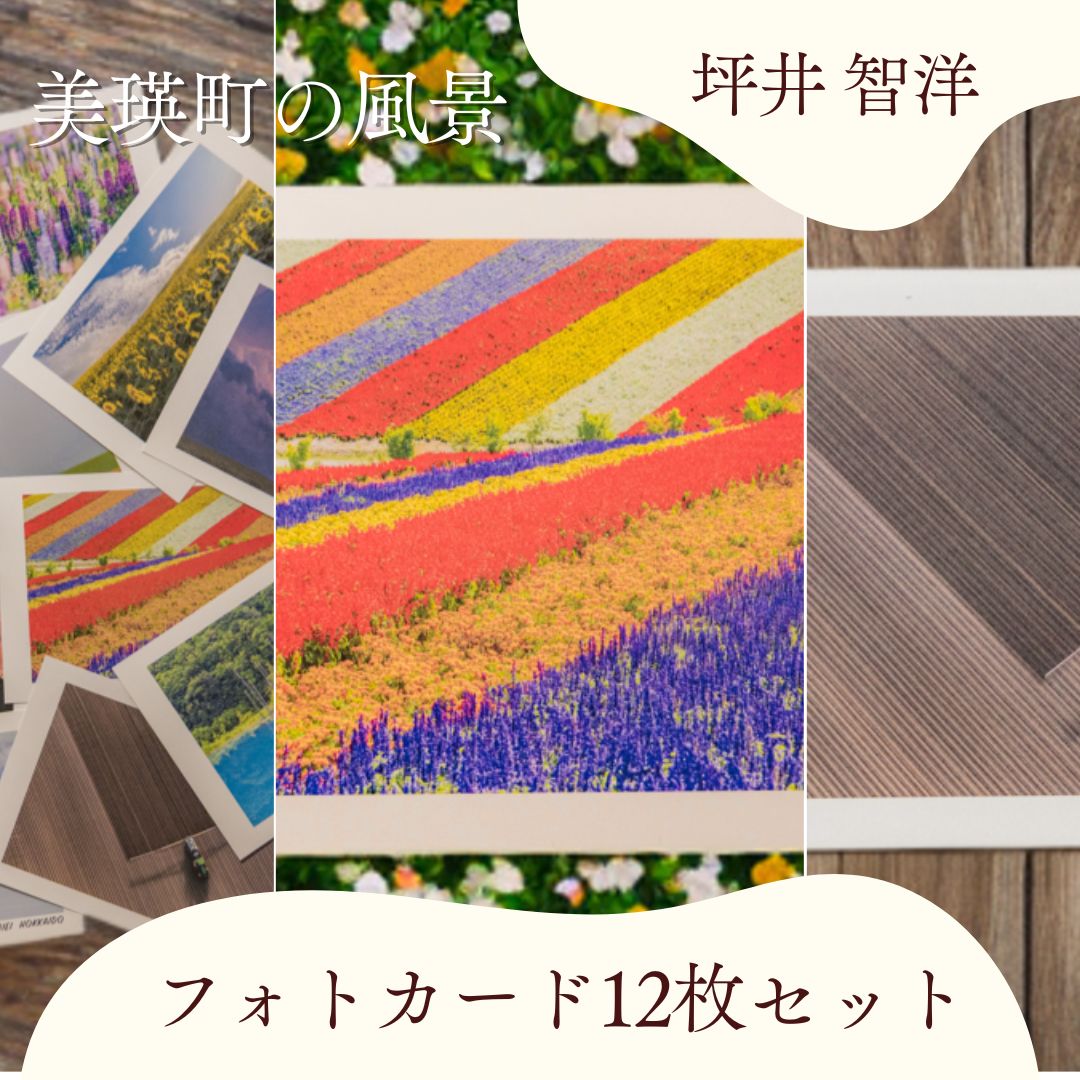 【ふるさと納税】フォトカード 写真家 坪井 智洋 美瑛の風景 フォトカード 12枚セット