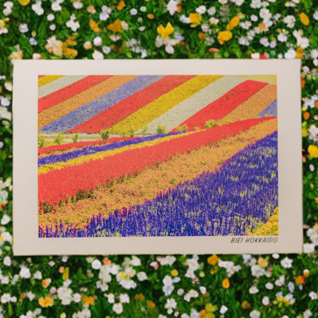 【ふるさと納税】フォトカード 写真家 坪井 智洋 美瑛の風景 フォトカード 12枚セット 3