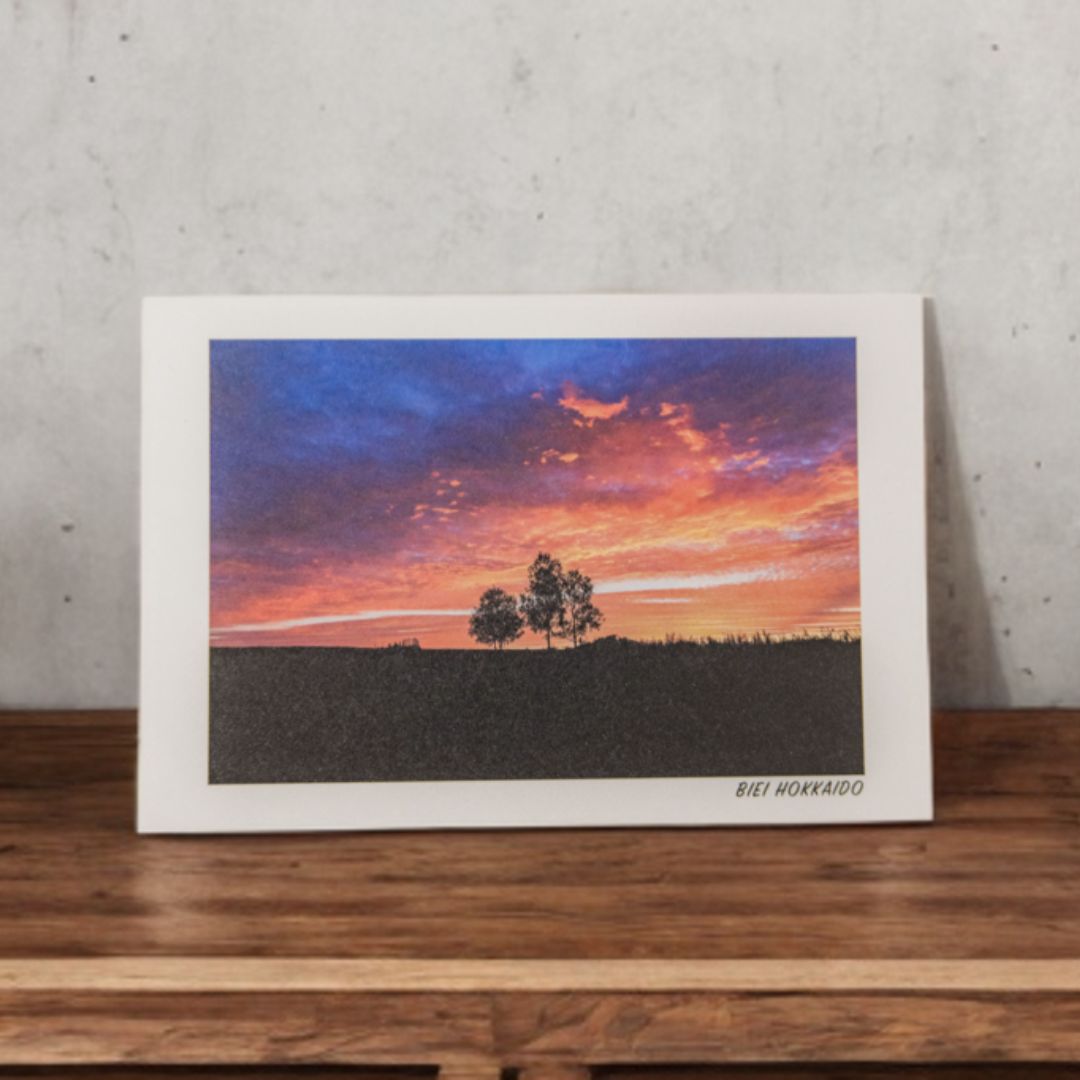 【ふるさと納税】フォトカード 写真家 坪井 智洋 美瑛の風景 フォトカード 12枚セット 4