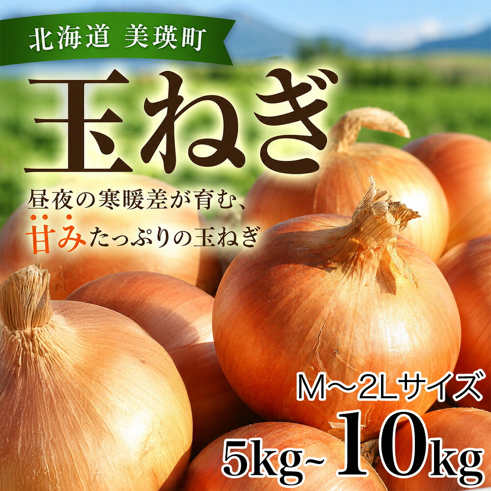 【ふるさと納税】【先行予約】北海道 玉ねぎ 5kg 10kg 令和8年産 おおとり 2026年10月上旬より順次発送 M～2Lサイズ