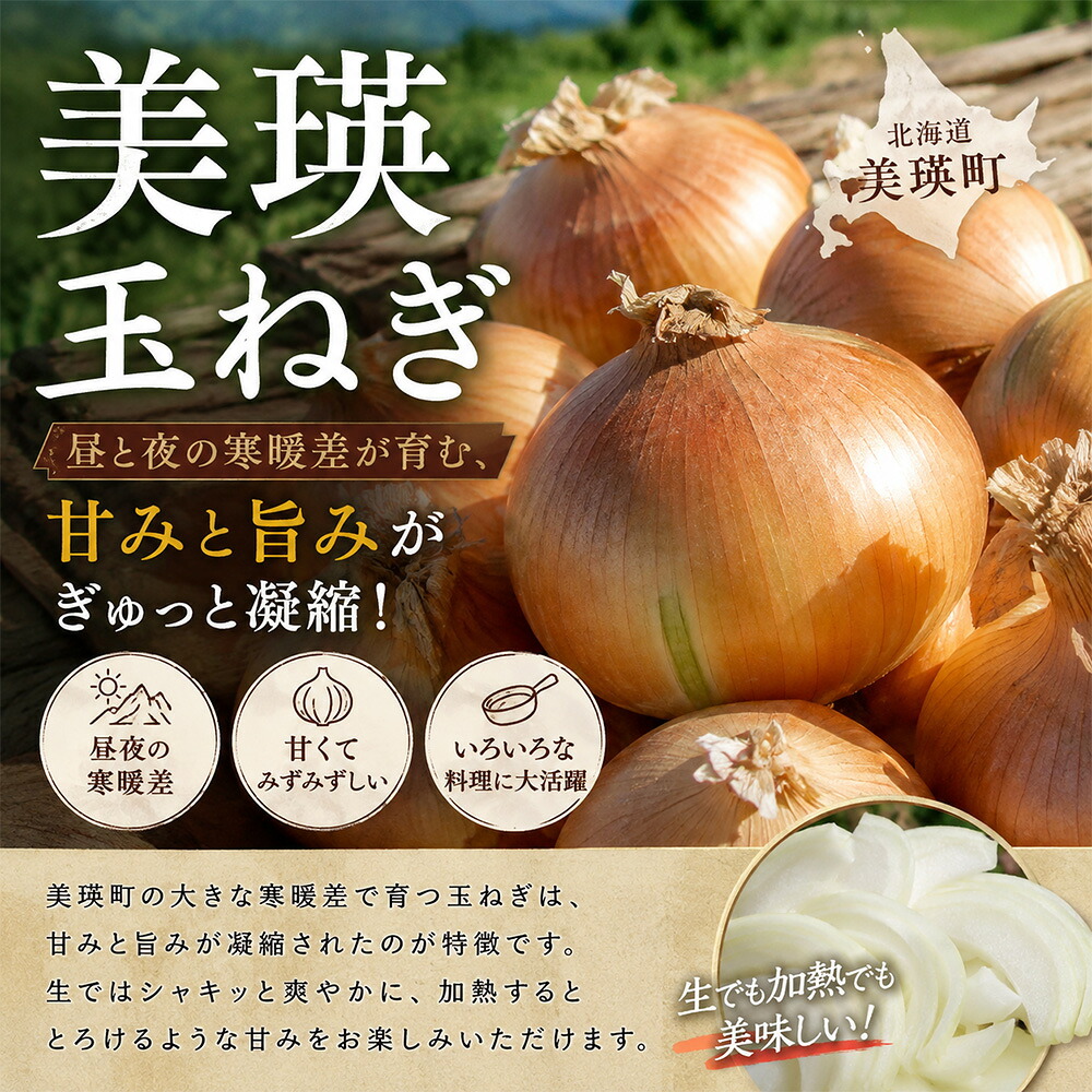 【ふるさと納税】【先行予約】北海道 玉ねぎ 5kg 10kg 令和8年産 おおとり 2026年10月上旬より順次発送 M～2Lサイズ 2