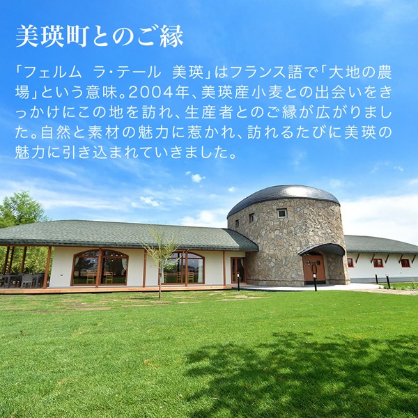 【ふるさと納税】美瑛プリン 6個 北海道 北海道美瑛 北海道美瑛町 プリン スイーツ デザート おやつ 6こ 6コ 6本 美瑛産 北海道産 美瑛産牛乳 ジャージー牛乳 北海道産卵 ノンホモジナイズ  フェルムラ・テール美瑛 6
