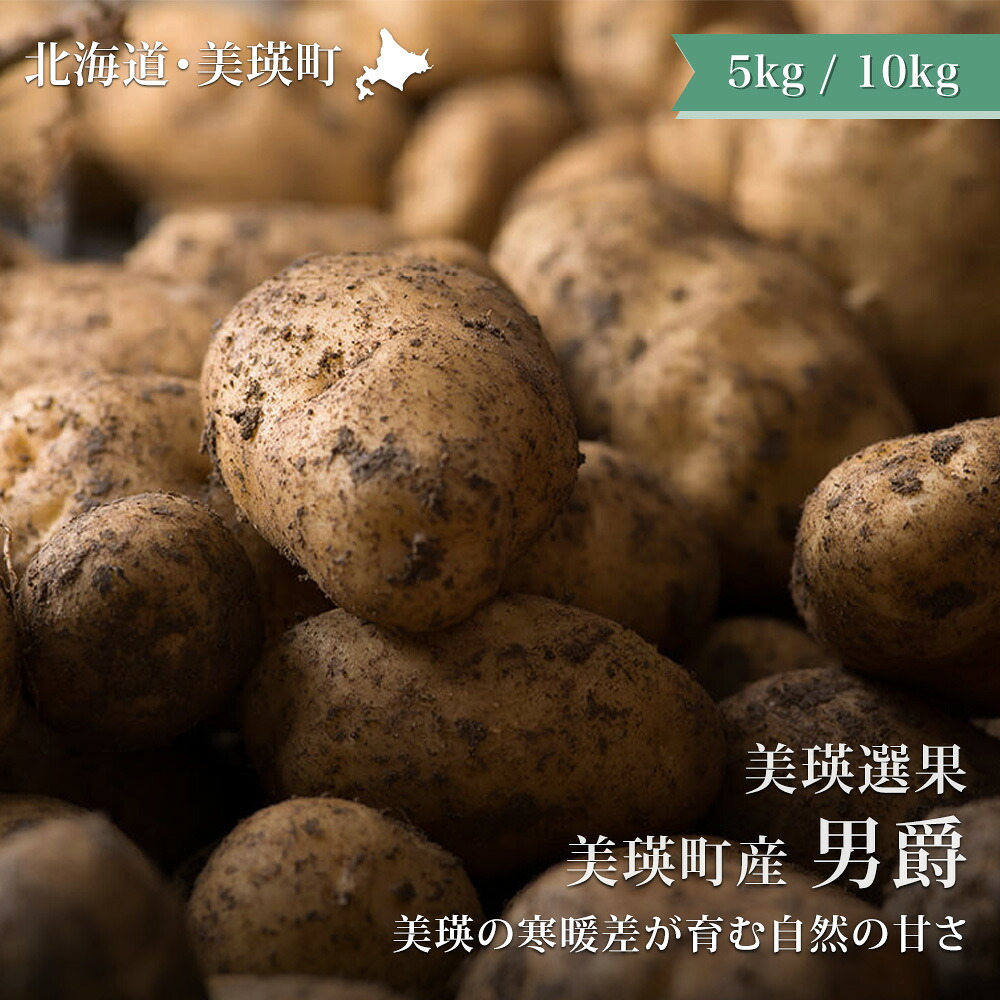 【ふるさと納税】≪令和8年産予約受付！≫男爵 じゃがいも  5kg 10kg 送料無料