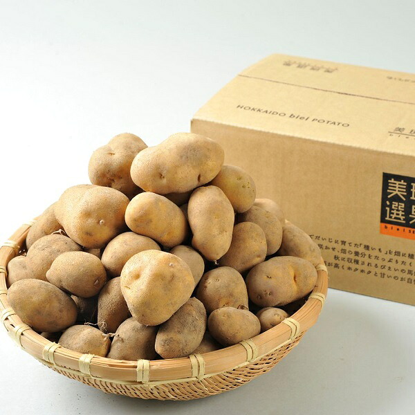 【ふるさと納税】≪令和8年産予約受付！≫男爵 じゃがいも  5kg 10kg 送料無料 2