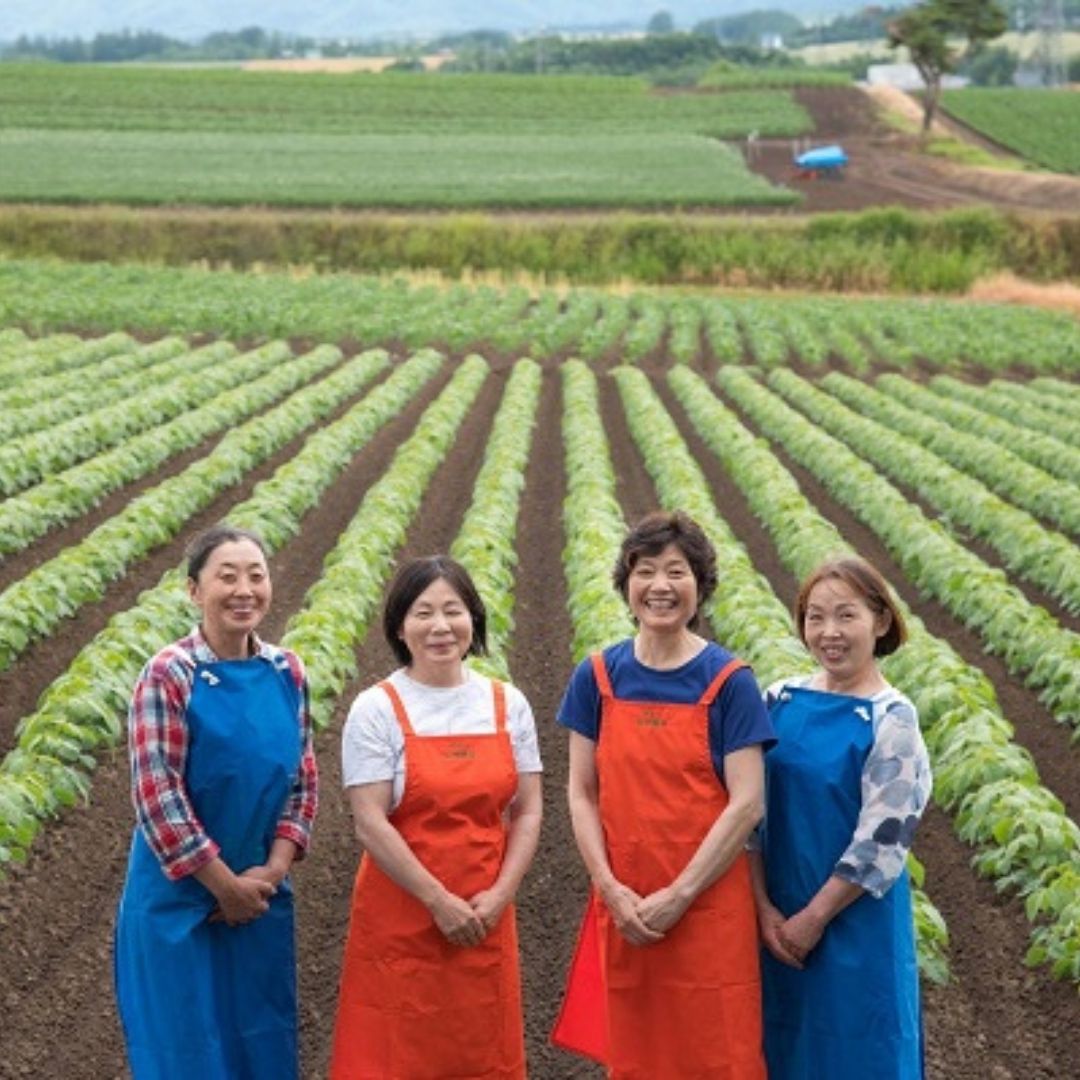 【ふるさと納税】豆ごころ3パック　美瑛　美瑛町　北海道美瑛　北海道美瑛町　北海道産　美瑛産　大豆　金時豆　虎豆　手亡豆　黒大豆　青大豆　パッチワークの丘　丘の恵みびえい　[008-23] 3