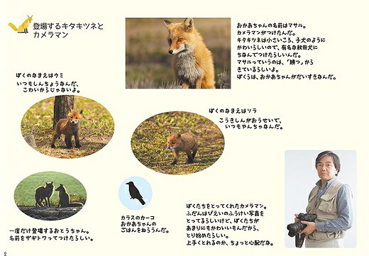 【ふるさと納税】動画付き写真集 マサルの子育て日記　北海道　北海道美瑛　北海道美瑛町　北海道美瑛　美瑛　美瑛町　写真集　動物　キタキツネ　写真家　菊地晴夫[008-24] 2
