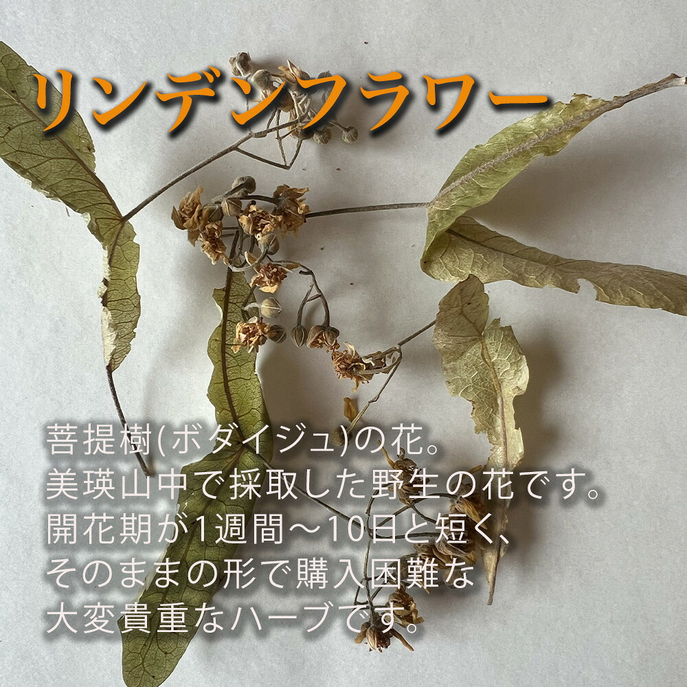 【ふるさと納税】ハーブティー リンデンフラワー 美瑛ハーブ乃々 2