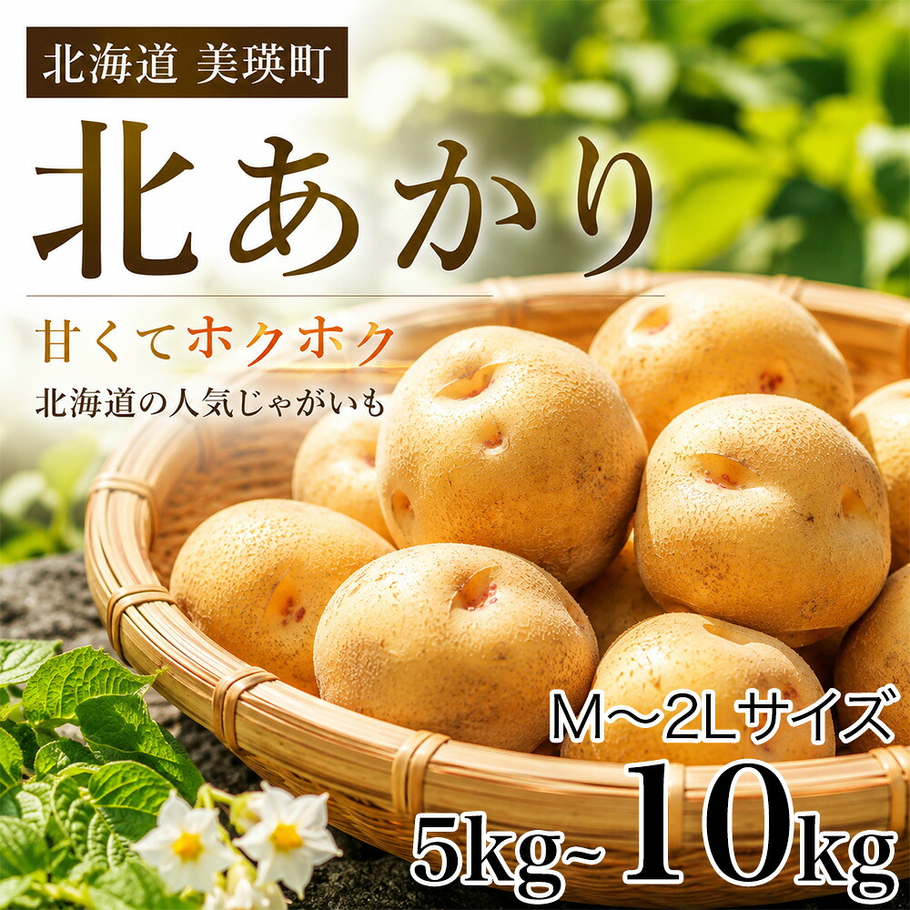 【ふるさと納税】令和8年産【先行予約】じゃがいも きたあかり 5kg  おおとり