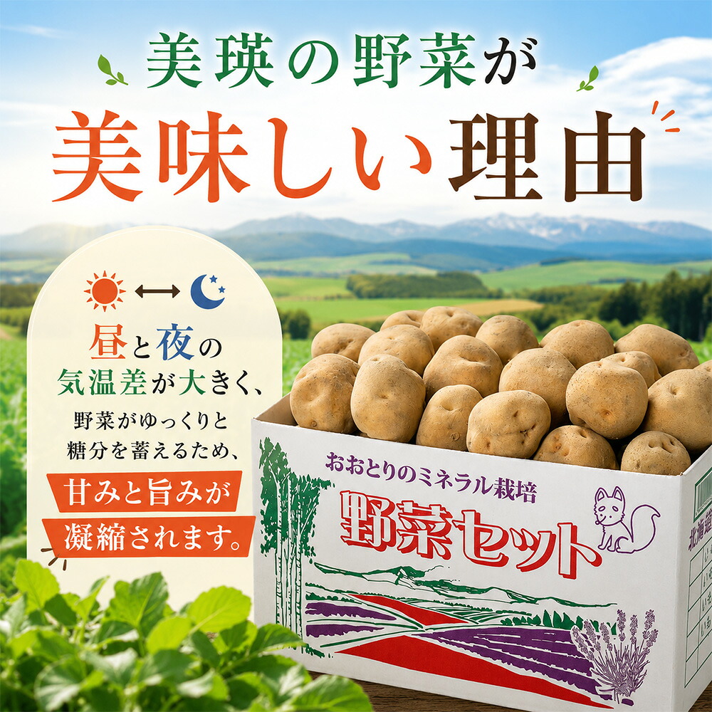 【ふるさと納税】令和8年産【先行予約】じゃがいも きたあかり 5kg  おおとり 3