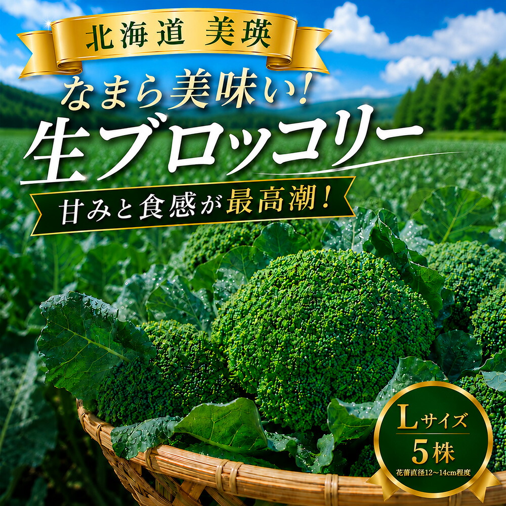 【ふるさと納税】令和8年産 ブロッコリー 5株 Lサイズ 美瑛産 舟山農園