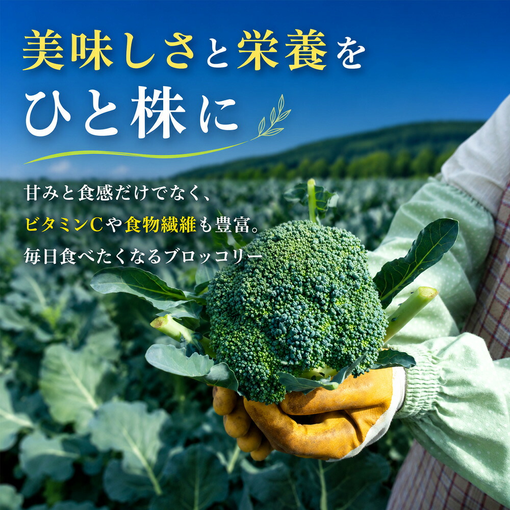 【ふるさと納税】令和8年産 ブロッコリー 5株 Lサイズ 美瑛産 舟山農園 3