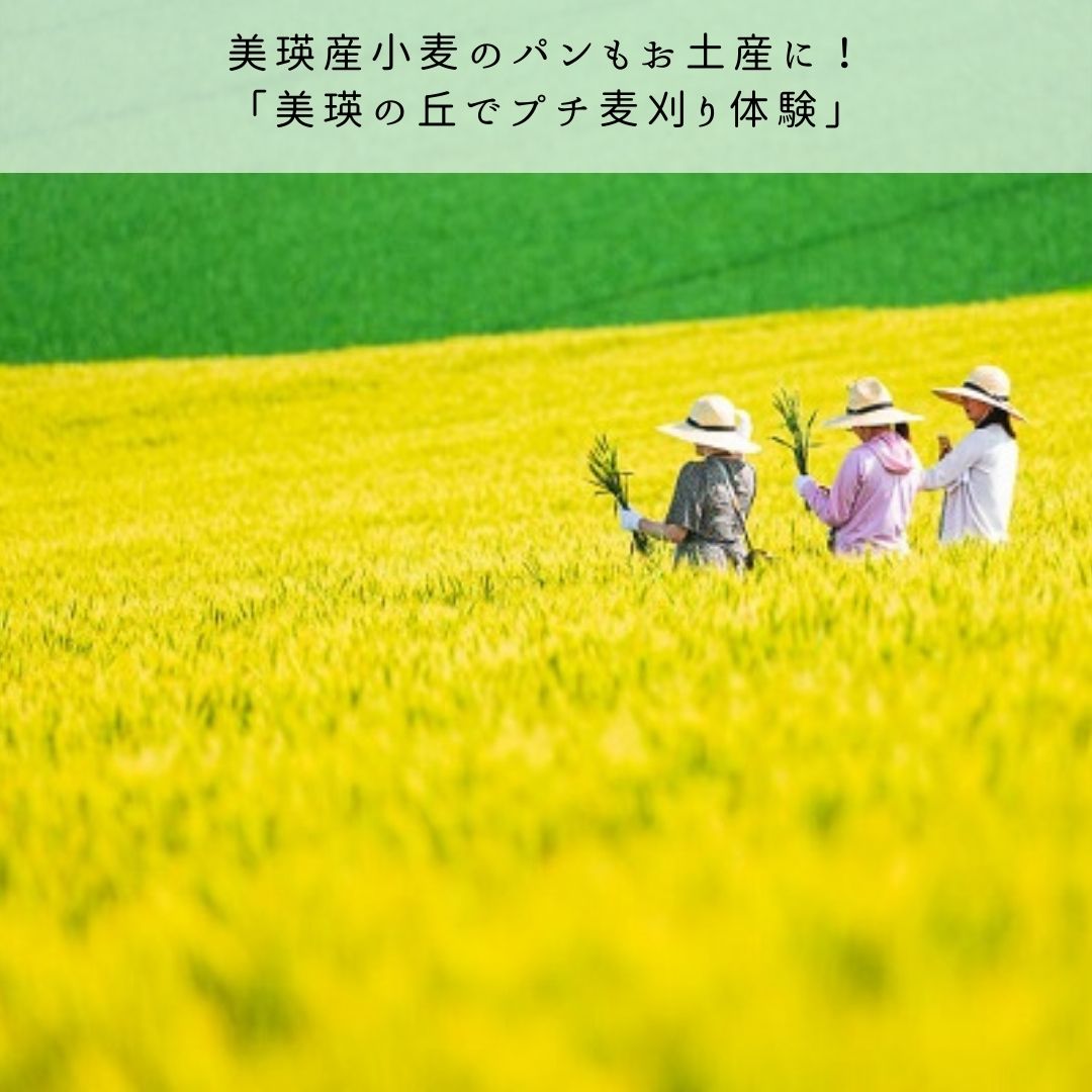 【ふるさと納税】夏季アクティビティ体験クーポン3,000円　北海道　北海道美瑛　北海道美瑛町　美瑛町　美瑛　アクティビティ　収穫体験　フットパス　体験プラン　体験プログラム　丘のまちびえいDMO　[010-147] 5