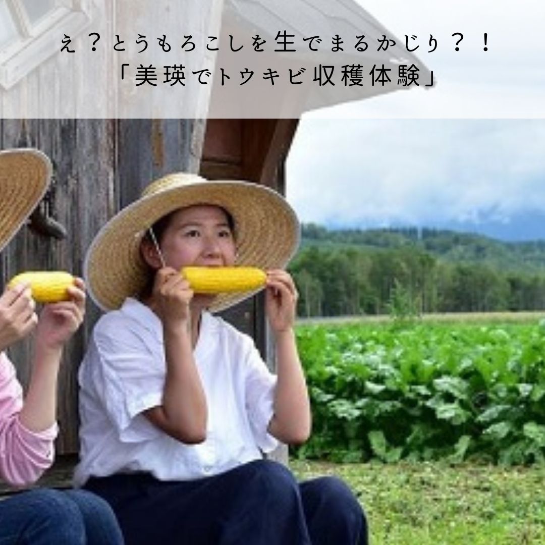 【ふるさと納税】夏季アクティビティ体験クーポン3,000円　北海道　北海道美瑛　北海道美瑛町　美瑛町　美瑛　アクティビティ　収穫体験　フットパス　体験プラン　体験プログラム　丘のまちびえいDMO　[010-147] 6