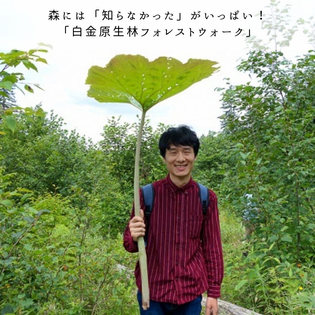 【ふるさと納税】夏季アクティビティ体験クーポン3,000円　北海道　北海道美瑛　北海道美瑛町　美瑛町　美瑛　アクティビティ　収穫体験　フットパス　体験プラン　体験プログラム　丘のまちびえいDMO　[010-147] 8