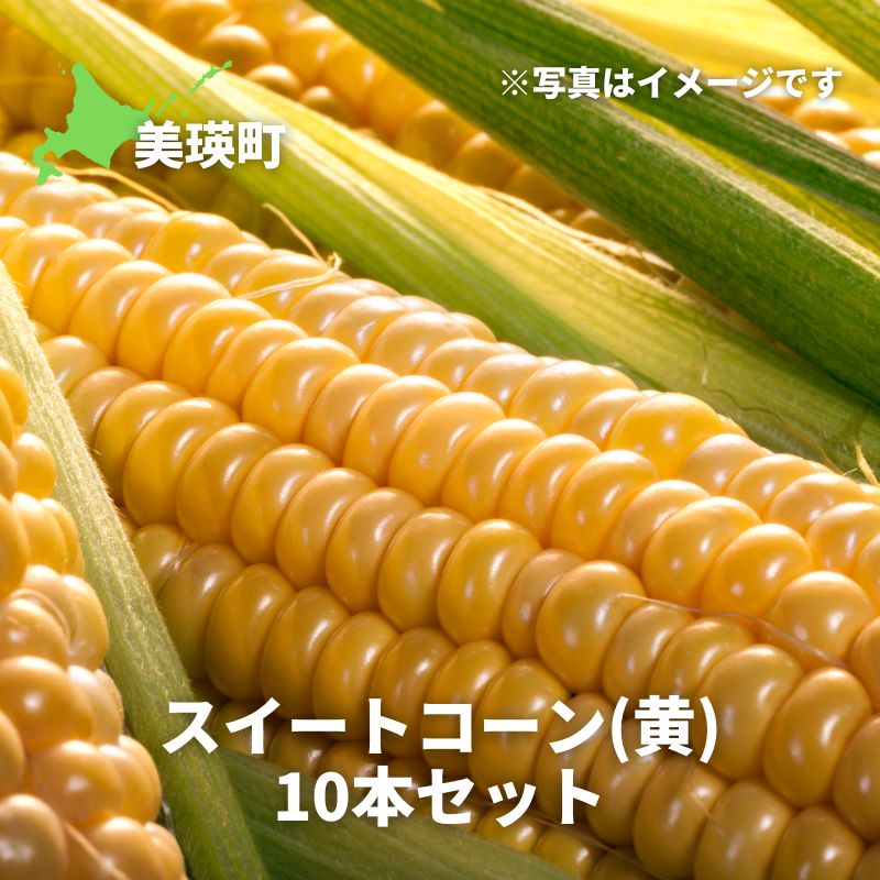 【ふるさと納税】とうもろこし【令和9年産 先行予約】スイートコーン 黄色 10本 北海道 美景農園