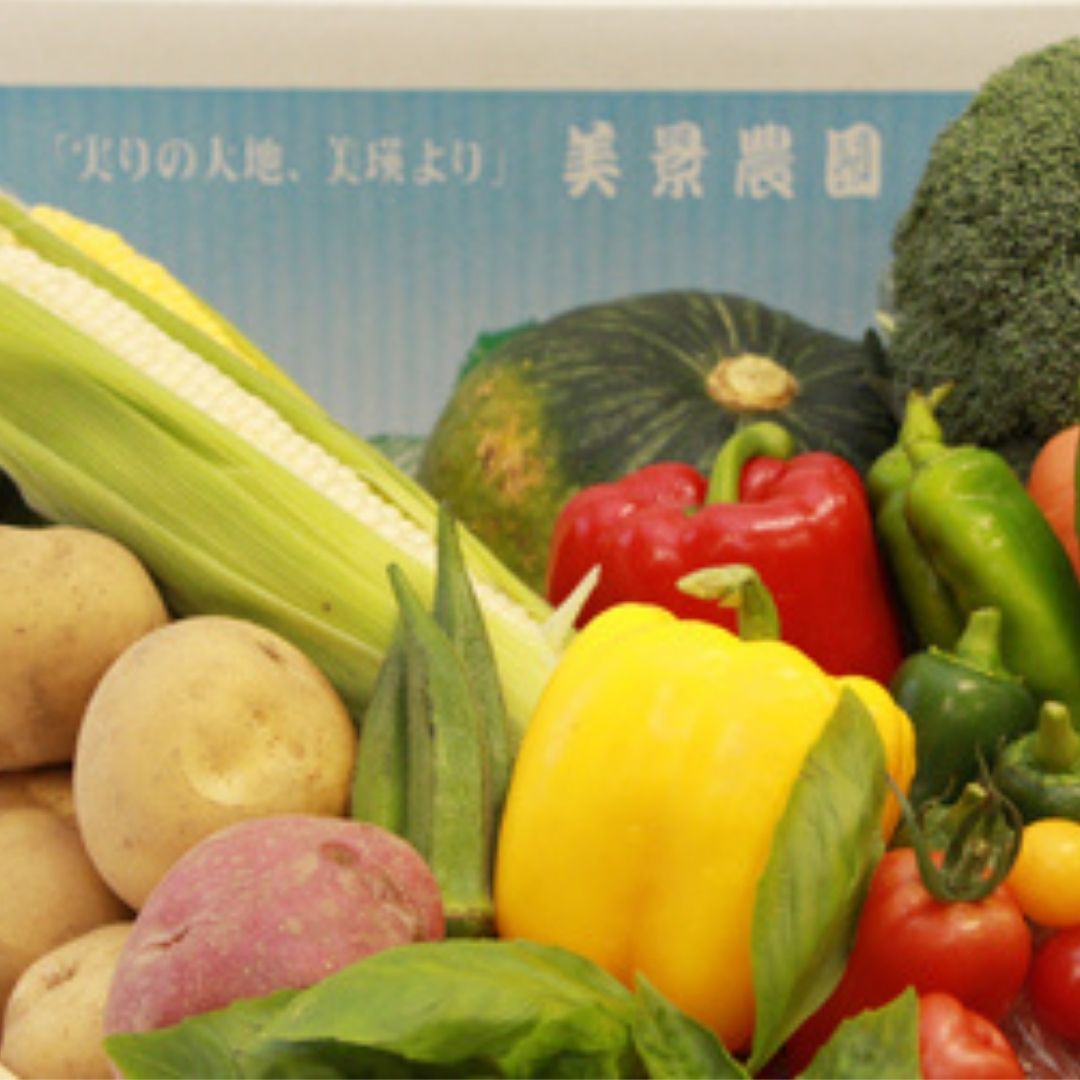 【ふるさと納税】夏 野菜 セット【令和9年産予約受付】野菜 詰め合わせ 野菜セット 旬野菜 季節野菜 美瑛 北海道 北海道美瑛 北海道美瑛町 美瑛町 美瑛 北海道産 美瑛産 トマト パプリカ にんじん スイートコーン とうもろこし とうきび トウモロコシ 野菜 送料無料 美景農園 3