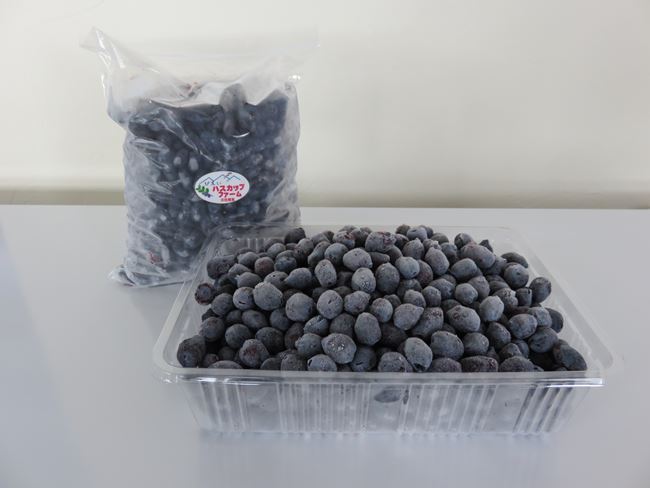 【ふるさと納税】美瑛産 冷凍 ハスカップ 1kg　美瑛 美瑛町 北海道美瑛 北海道美瑛町 北海道産　美瑛産　びえいハスカップファーム　冷凍フルーツ 果物 くだものお取り寄せグルメ 国産 食べ物 たべもの 食品 ご当地　[019-63] 2
