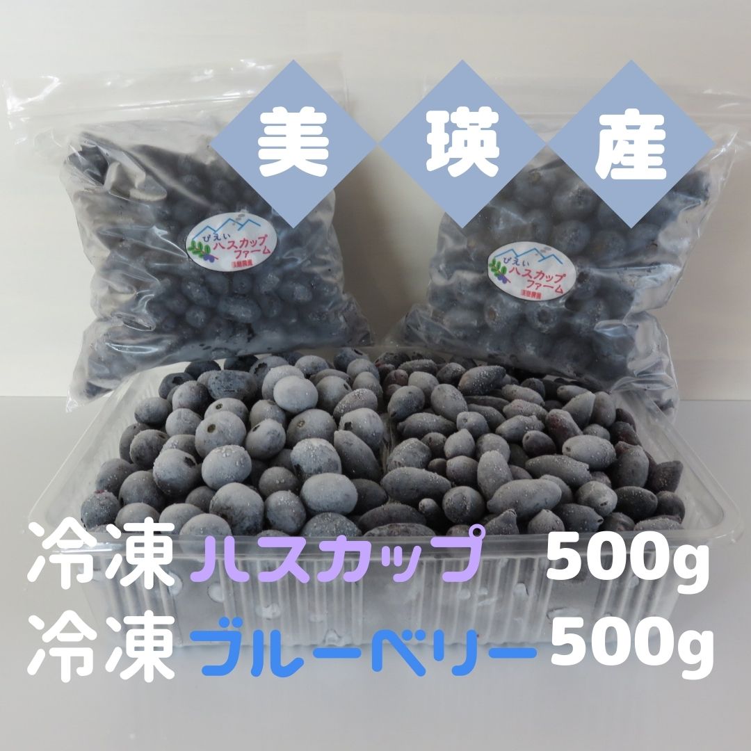 【ふるさと納税】美瑛産 冷凍 ハスカップ 500g 冷凍 ブルーベリー 500g 北海道 北海道美瑛 北海道美瑛町 美瑛町 ハスカップ ブルーベリー びえいハスカップファーム 冷凍フルーツ 果物 くだものお取り寄せグルメ 国産 食べ物 たべもの 食品 ご当地　[019-67]