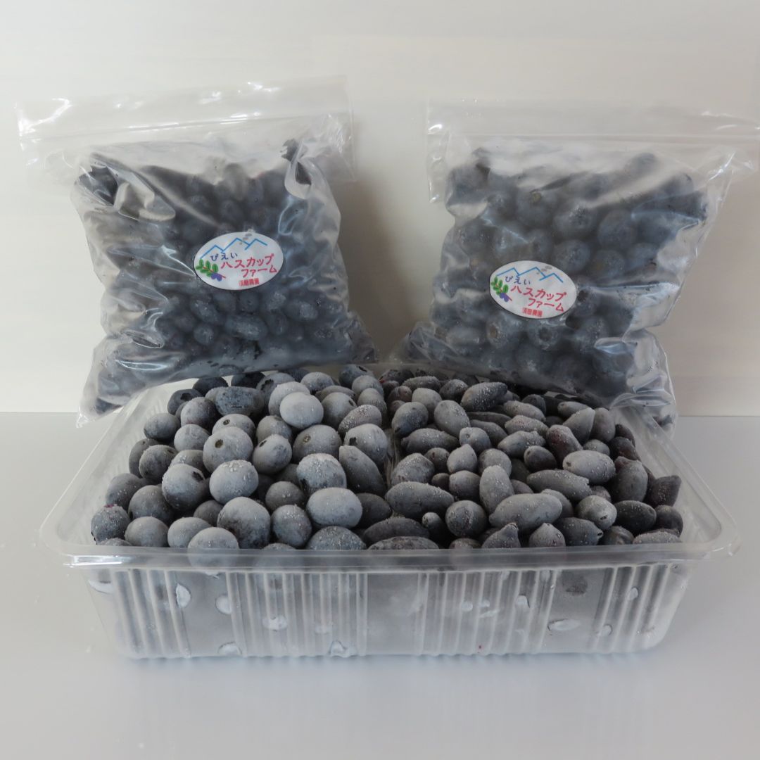 【ふるさと納税】美瑛産 冷凍 ハスカップ 500g 冷凍 ブルーベリー 500g 北海道 北海道美瑛 北海道美瑛町 美瑛町 ハスカップ ブルーベリー びえいハスカップファーム 冷凍フルーツ 果物 くだものお取り寄せグルメ 国産 食べ物 たべもの 食品 ご当地　[019-67] 2