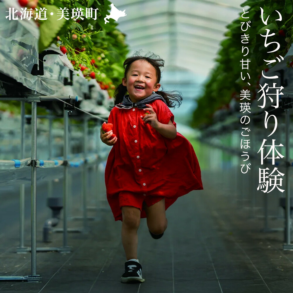 【ふるさと納税】いちご狩り体験チケット 60分食べ放題 大人1名分 丸北いちご農園