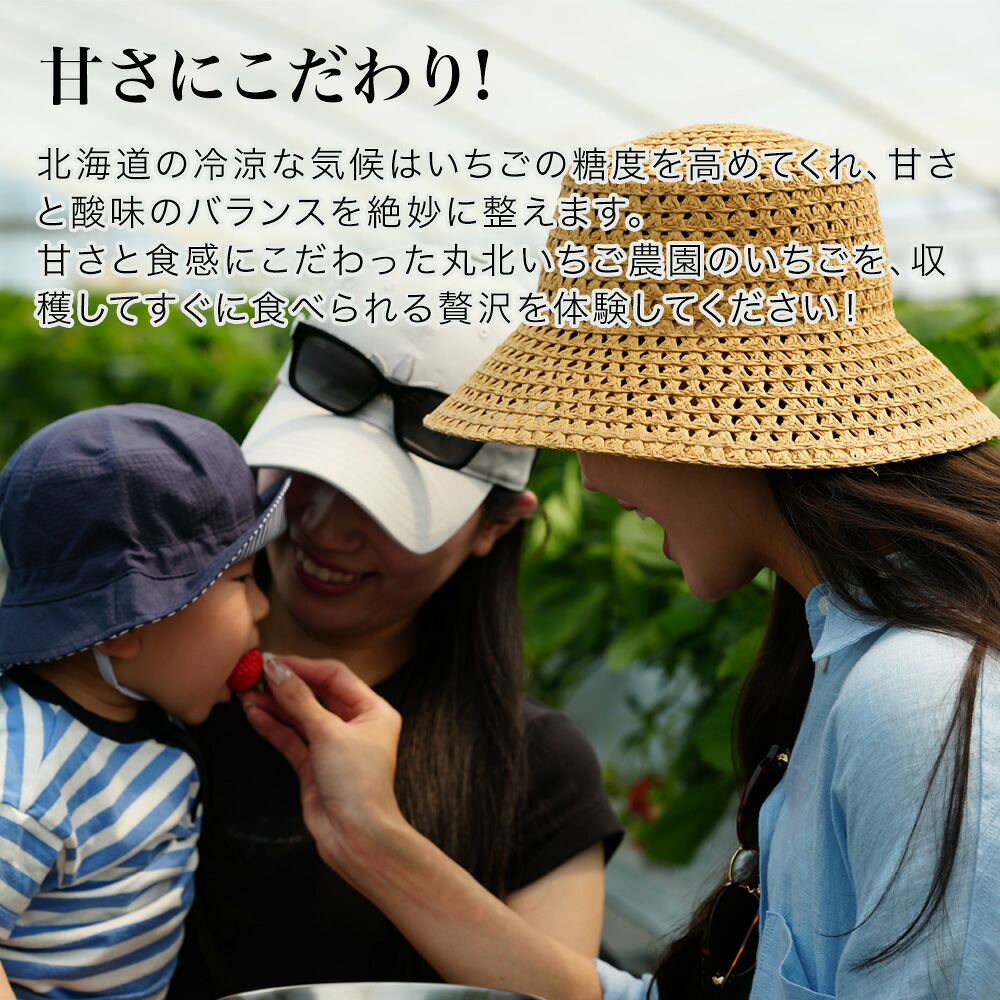 【ふるさと納税】いちご狩り体験チケット 60分食べ放題 大人1名分 丸北いちご農園 4