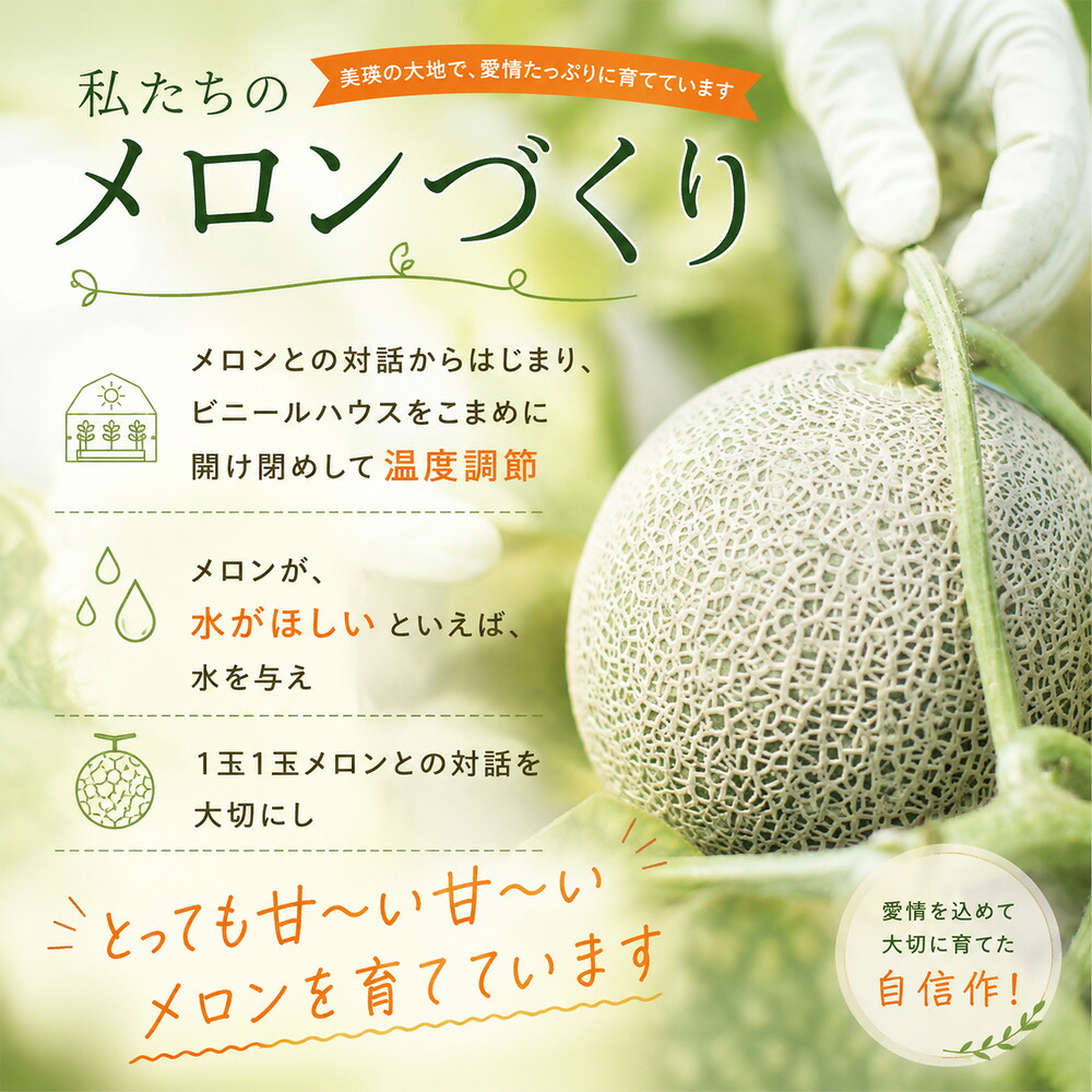 【ふるさと納税】令和9年産【先行予約】美瑛 赤肉メロン 1玉（2kg以上）2玉（1.6kg以上×2玉）金子農園 3