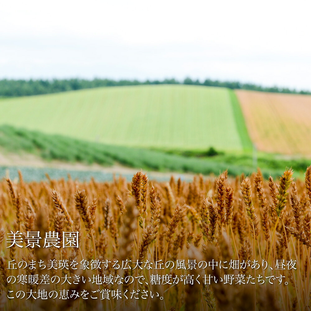 【ふるさと納税】≪令和８年産予約受付！≫美瑛 野菜 玉ねぎ じゃがいも かぼちゃ5kg 4kg   セット 詰め合わせ 送料無料 野菜 北海道 北海道美瑛北海道美瑛町 美瑛町 美瑛 北海道産 2個 美景農園 [016-89] 2