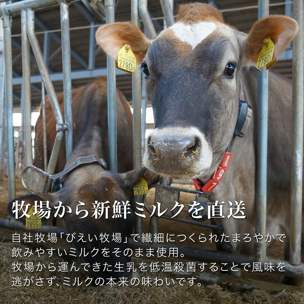 【ふるさと納税】びえい牧場の牛乳を使用！gelatrip's selection ジェラート アイス 送料無料 5