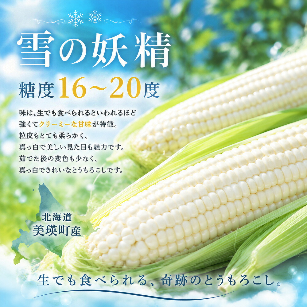【ふるさと納税】 とうもろこし （雪の妖精）8本12本 20本【令和9年産先行予約】1回 2回 選べる 定期便 野菜 送料無料 2