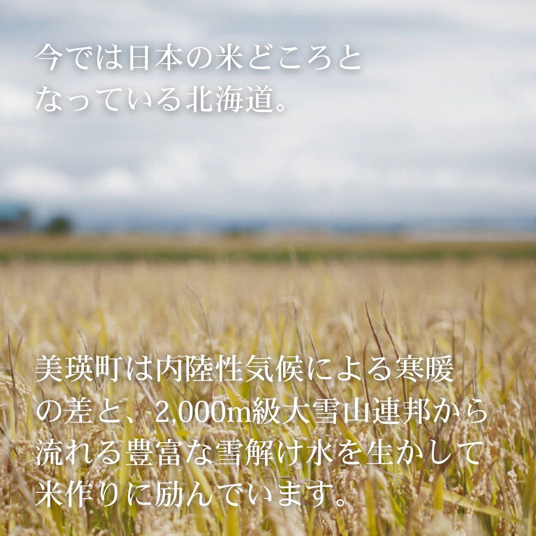 【ふるさと納税】【先行予約】≪令和8年産≫新米 ななつぼし10kg 新米 令和8年 米 お米 こめ コメ 10kg ブランド米 ごはん ななつぼし 精米 白米 北海道 美瑛 美瑛町 北海道美瑛町 美景農園[030-106] 2