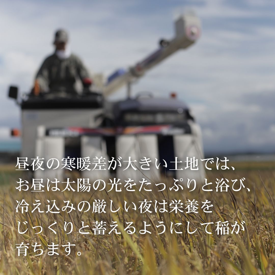 【ふるさと納税】【先行予約】≪令和8年産≫新米 ななつぼし10kg 新米 令和8年 米 お米 こめ コメ 10kg ブランド米 ごはん ななつぼし 精米 白米 北海道 美瑛 美瑛町 北海道美瑛町 美景農園[030-106] 3