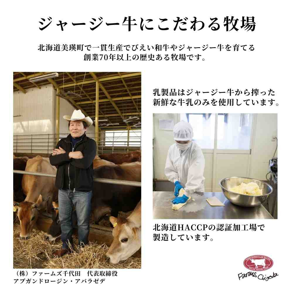 【ふるさと納税】ジャージーバター100g×3個セット 100g×5個セット 3