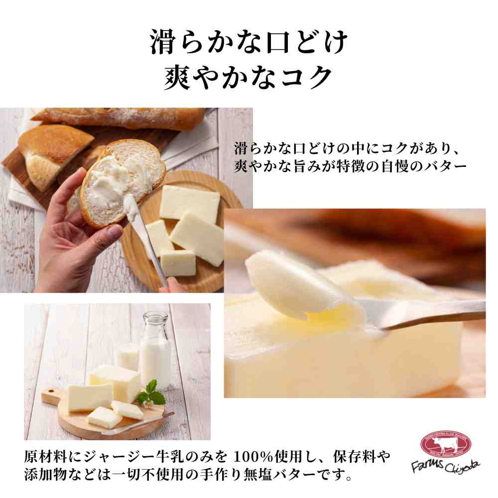 【ふるさと納税】ジャージーバター100g×3個セット 100g×5個セット 7