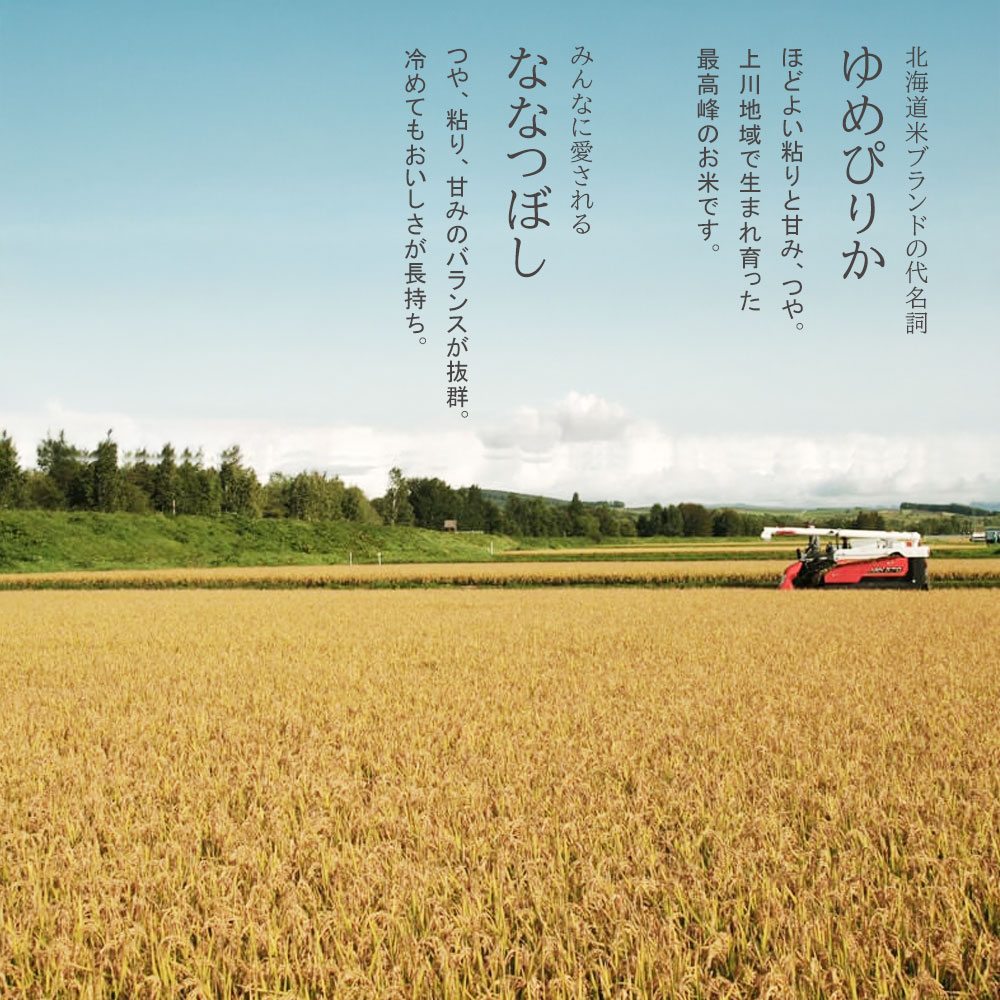 【ふるさと納税】【先行予約】ななつぼし＆ゆめぴりか 食べ比べセット 定期便 選べる 各2kg 各5kg 1回 3回 6回 12回 令和8年産 特A獲得！皇室献上米に選ばれた美瑛米 米 お米 こめ コメ ブランド米 ごはん ななつぼし ゆめぴりか 精米 白米 北海道産 北海道 JAびえい 2