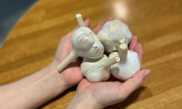 【ふるさと納税】ダイヤモンドにんにく1kg　北海道　北海道美瑛　北海道美瑛町　美瑛町　にんにく ニンニク オニオン [014-14] 2