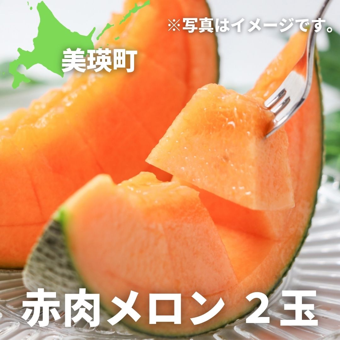 【ふるさと納税】赤肉メロン 2玉 【令和9年産 先行予約】メロン 北海道 果物 めろん フルーツ くだもの おすすめ 人気 北海道産 北海道美瑛 美瑛 ギフト 贈答 贈り物 お祝い プレゼント 美景農園